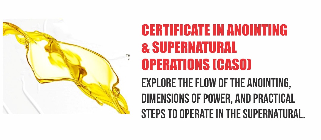 whatsapp image 2025 07 18 at 13.00.37