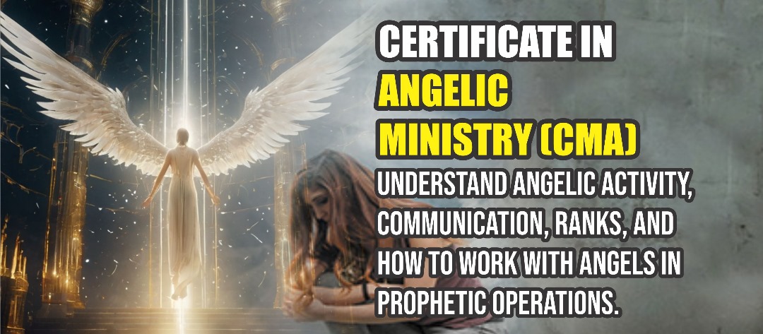 whatsapp image 2025 07 18 at 13.00.38